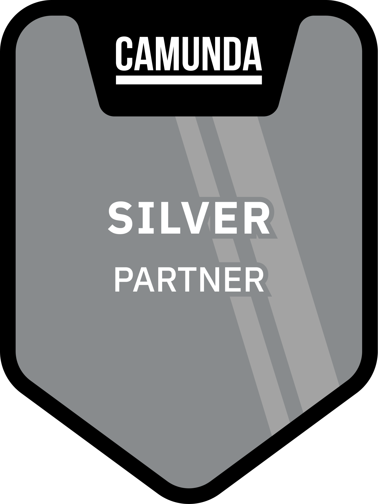 Camunda Silver Partner